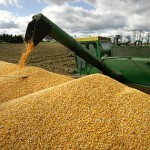 Commodity ETFs
