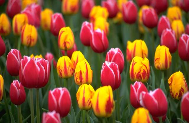 April ETFs