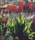 images14