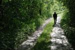images51