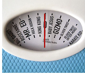 Equal Weight ETFs