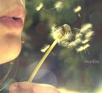 images18
