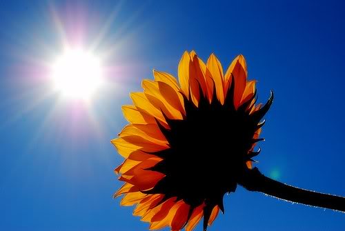 Solar ETFs