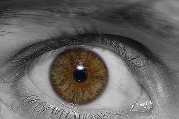 ETFs to Watch
