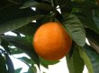 everystockphoto_123897_tn