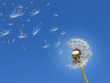 Wind ETFs