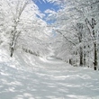 110_F_467012_mSyz0stYijkHvwxT89qiEOYDN2uQab