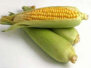 Agriculture, Corn, Wheat ETFs