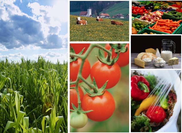 agribusiness