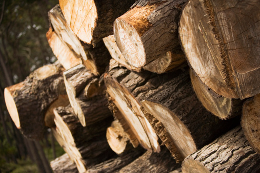 A Look at Lumber Prices and a Timber ETF
