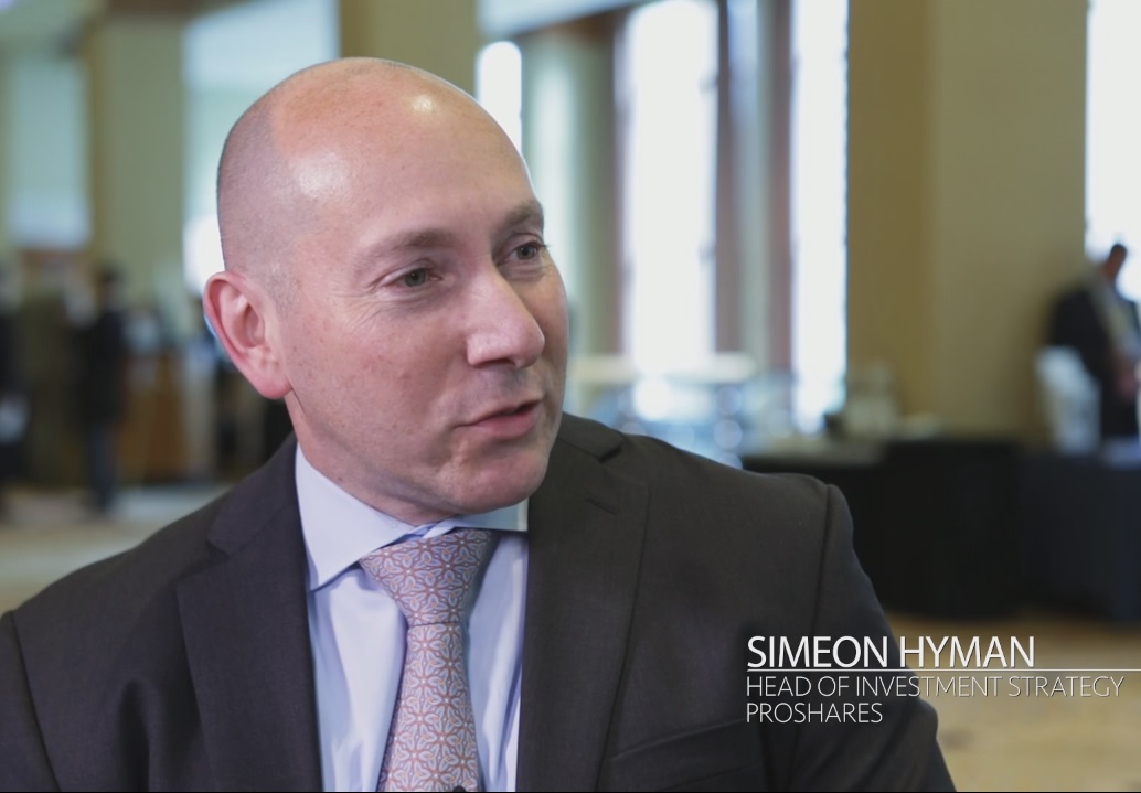 ProShares Head of Investment Strategy Simeon Hyman