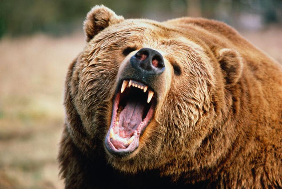 DBA - Commodities ETF Tries to Fend off the Bears