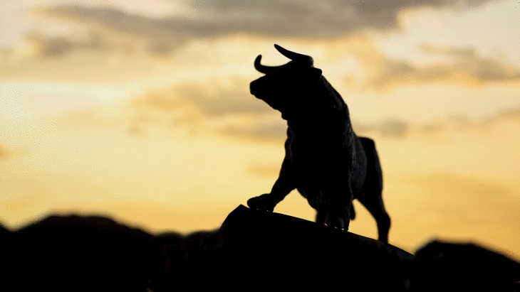 how-much-longer-will-the-bull-market-survive