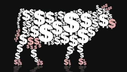 ETFs Focusing on 'Cash Cows' for Quality Exposure