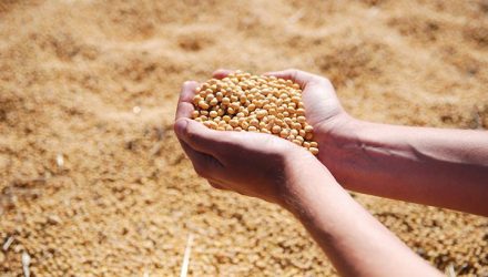 Soybean ETF May Be Digging Out of Its Long-Term Bottom