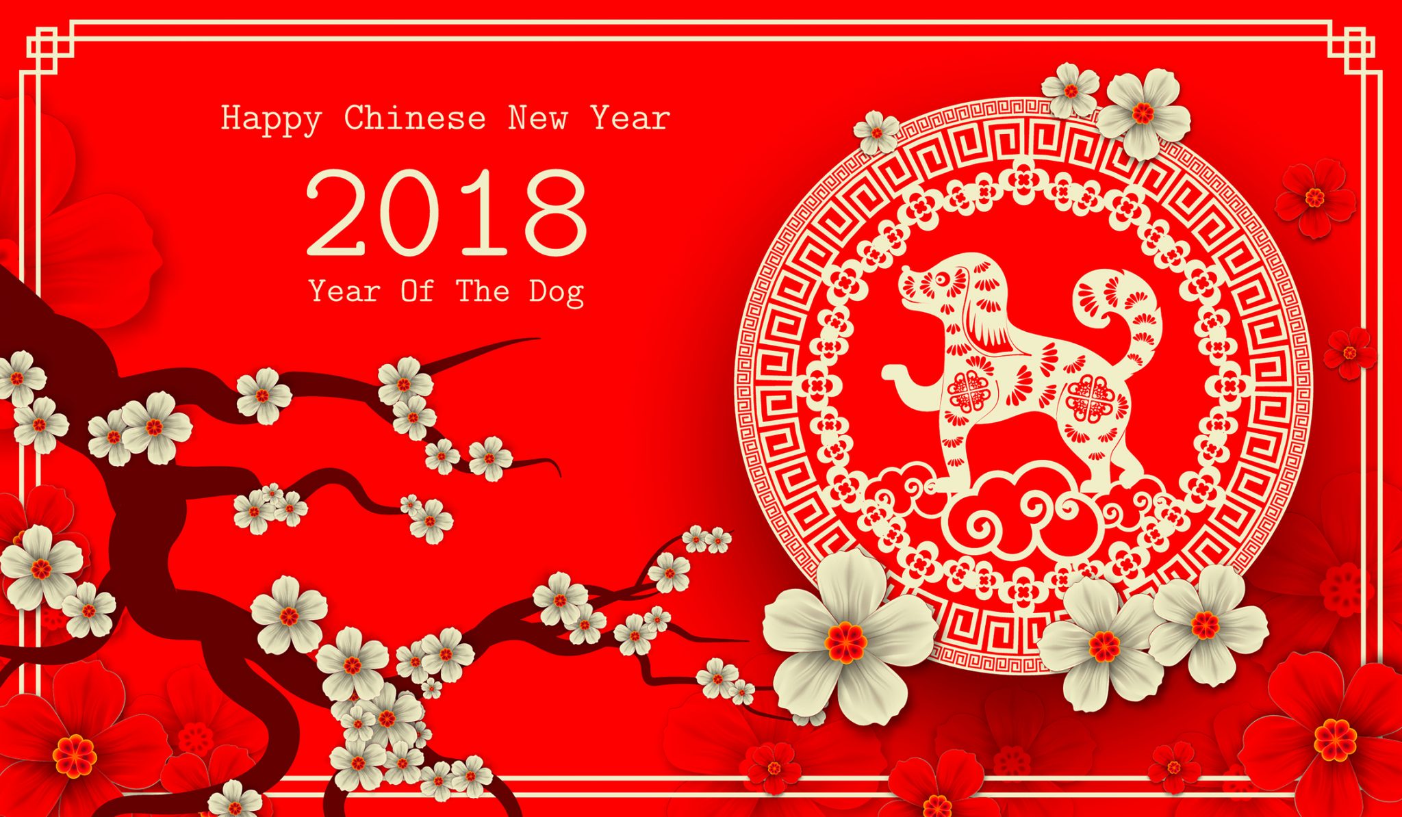 Chinese new year 2018 btc cryptocurrency wallet apidra