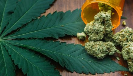 Marijuana ETF Higher as Three States Pass Cannabis Legislation