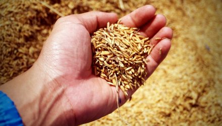 Grain ETFs Surge as U.S. Cuts Back in Planting Season