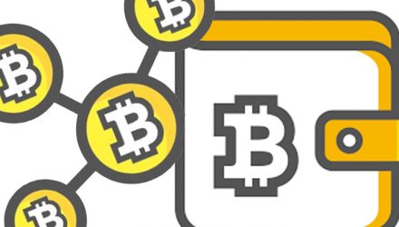 The Bitcoin Wallet App & Crypto Overview