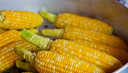 Corn ETF Surged on Brazilian Weather Concerns