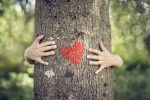 Vanguard Eyes Two ESG ETFs