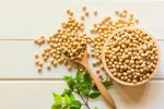 New California Biofuels Plant Spurs Soybean Prices Higher