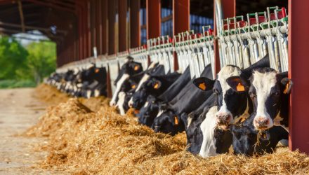 Trade, Tariffs and Sacred Cows