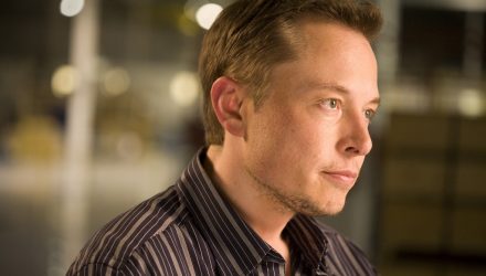Tesla Investor Reacts to Elon Musk’s Tweet