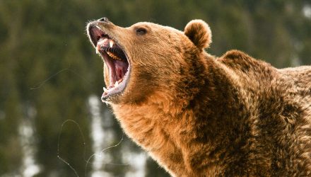 The Bond Market Will Be the Bear that Crushes the Equity Market