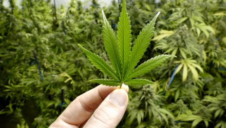 Marijuana ETF Boosted by Coca-Cola's Interest in Weed Drinks