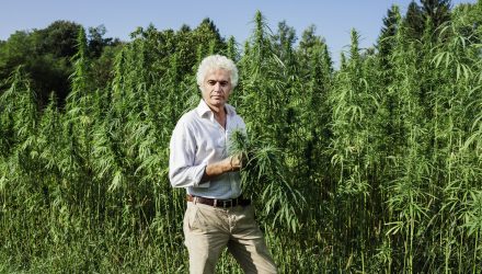 Marijuana ETF Climbs as Tilray Becomes First Canadian Company to Import Pot to U.S.