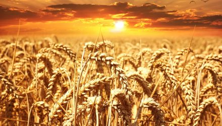 Argentina Drought Should Keep Wheat, Soybean Prices Afloat