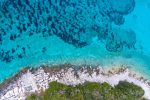 BlackRock Champions Sustainable ETF Investment Theme