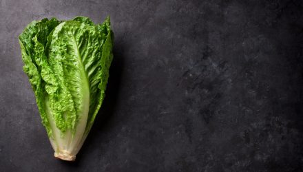Scared to Eat That Lettuce? Robots & AI Are Coming to the Rescue