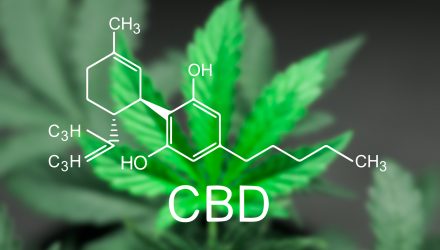 CBD Growth Could be a Long-Term Catalyst for Marijuana ETF