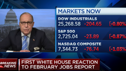 White House Economic Advisor on Jobs Report - Don't Pay 'Any Attention to It'