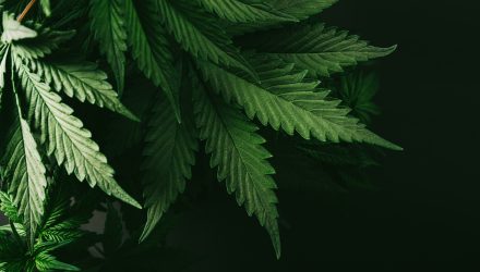 Are There Cannabis Stocks in Your Portfolio? Here’s the Straight Dope