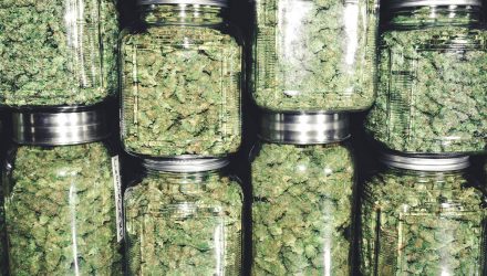 Marijuana ETF Yolo Looks Toward A Budding Future