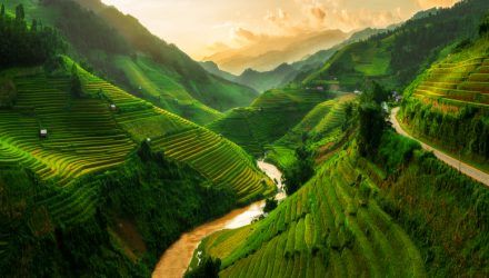 Vietnam ETF Offers Opportunity With Some Risk-adjusted