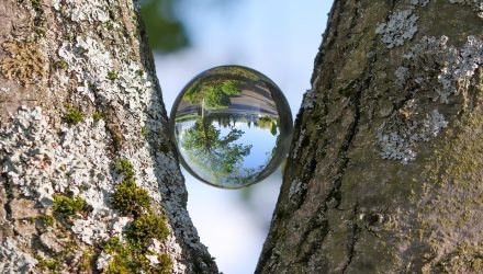 Astoria’s Investment Committee ETF Insights