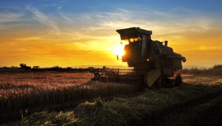 Assessing American Agribusiness ETF Issues