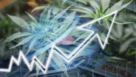 Cannabis ETFs Struggle, But One Manager Still Sees Opportunity