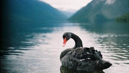 This Black Swan ETF Wont Ruffle Any Feathers