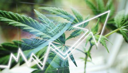ETF of the Week Cambria Cannabis ETF (TOKE)