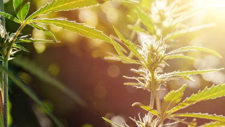 Relief May Come For Downtrodden Cannabis ETFs