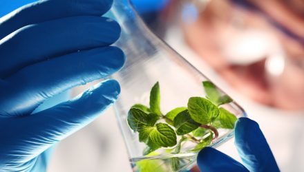 Investors Are Moving Back Into Resurgent Biotech ETFs