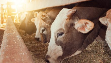 Livestock ETN Strengthens on U.S.-China Initial Trade Deal