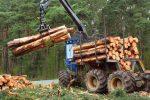 Timber Sector ETFs Made a Great Rebound in 2019