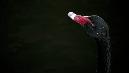 A Coronavirus Black Swan Event Could Spark Gold Rally