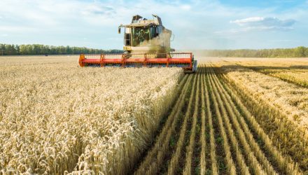 Agriculture Commodity ETFs Could Enhance, Diversify an Investment Portfolio
